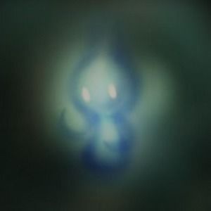 Meet your Posher, Alysha